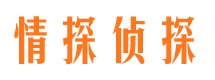 虞城市侦探公司